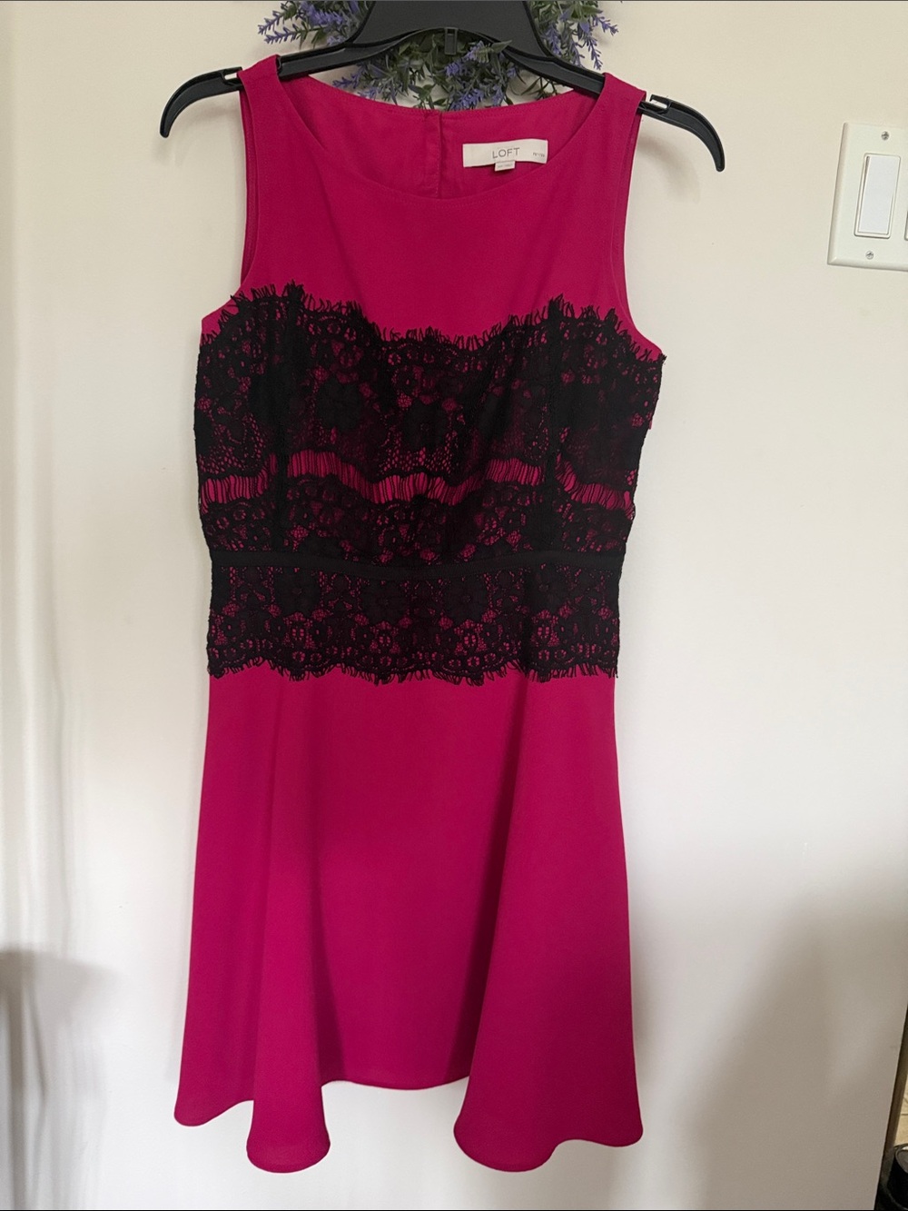 LOFT Fuchsia Dress with Black Lace Waist Detail